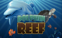 Dolphin Reef