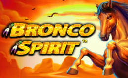 Bronco Spirit